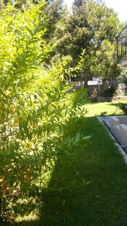 Poppy Apartments Fethiye Quarto foto
